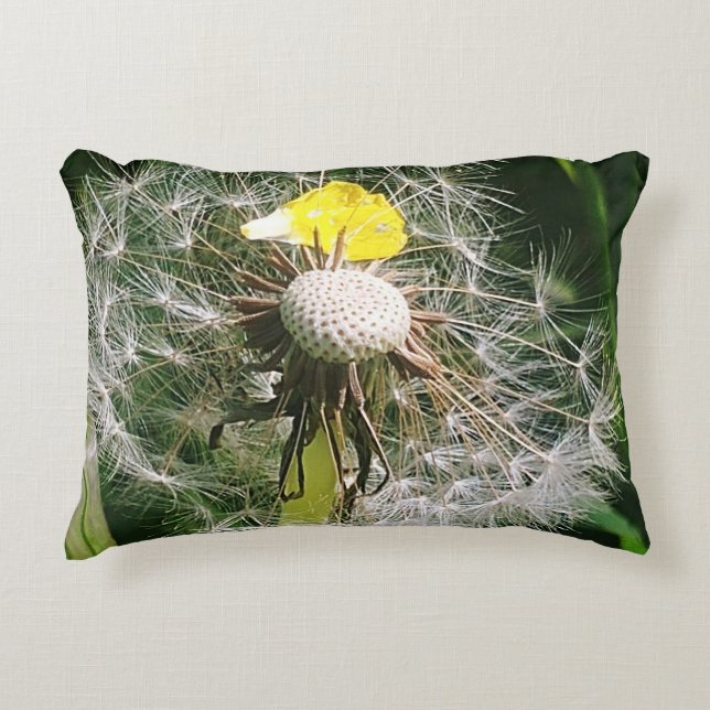 Cute dandelion accent pillow (Front)