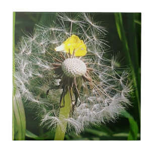 Cute dandelion ceramic tile
