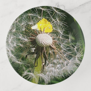 Cute dandelion trinket tray