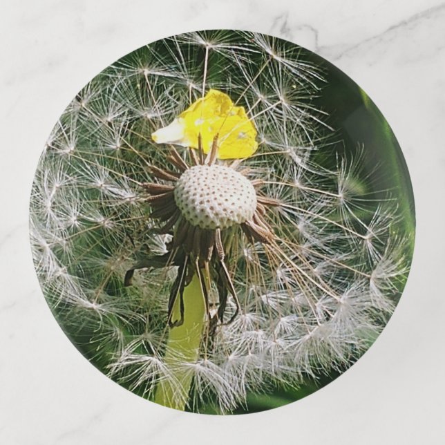 Cute dandelion trinket tray (Front)
