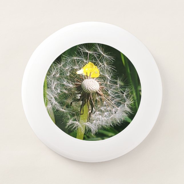 Cute dandelion Wham-O frisbee (Front)