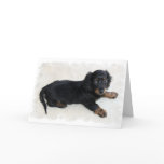 Cute Daschund Greeting Card