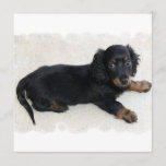 Cute Daschund  Invitations