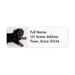 Cute Daschund  Mailing Label
