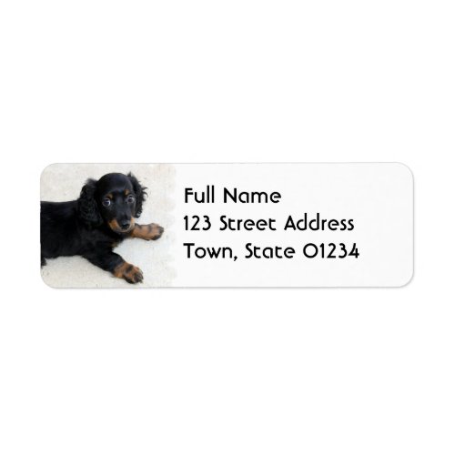 Cute Daschund  Mailing Label