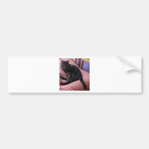 Cute Dave Bumper Sticker