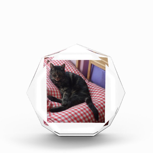 Cute Dave Octagonal Photo Block (Front)