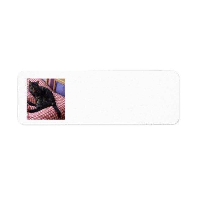 Cute Dave Return Address Labels (Front)