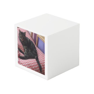 Cute Dave Square Photo Cube