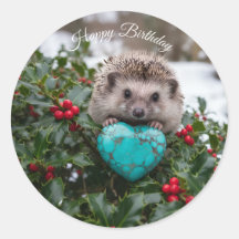 Cute December Hedgehog with Turquoise Heart