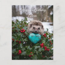 Cute December Hedgehog with Turquoise Heart