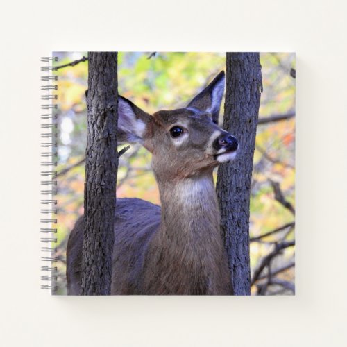 Cute Deer Close_Up Notebook