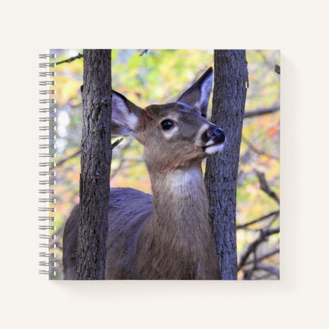 Cute Deer Close-Up Notebook (Front)
