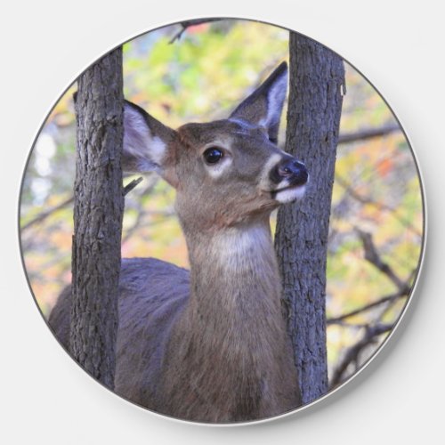 Cute Deer Close_Up  Wireless Charger