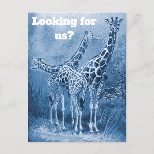 Cute Delft Blue Giraffes New Address Moving  Postcard