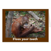 Cute Dental Health Advice for Teeth (Front Horizontal)