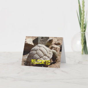 Cute Desert Tortoise - Change of Address Announcement
