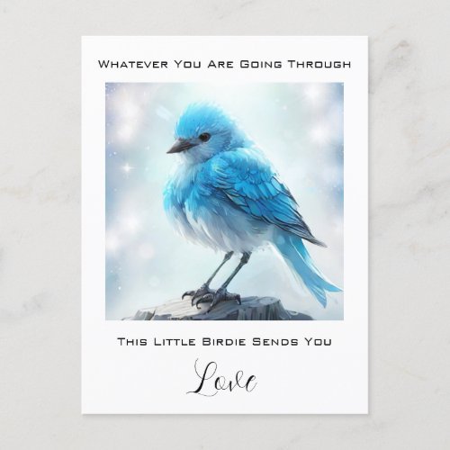  Cute Detailed Blue Bird AP54 Care Concern Postcard