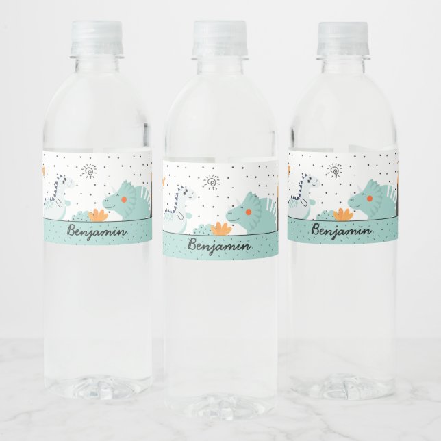 Cute Dino Dinosaurs Birthday Party Water Bottle Label (Bottles)