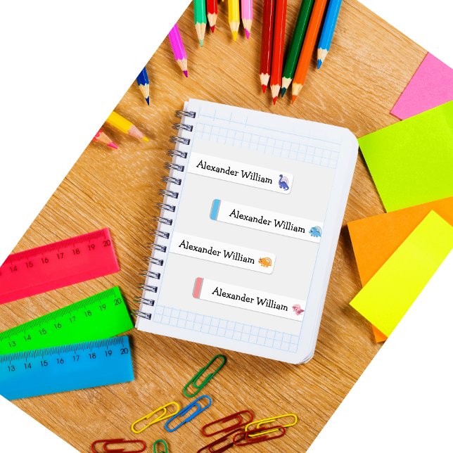 Cute Dino & Rainbow Waterproof /Iron On Name Label (Creator Uploaded)