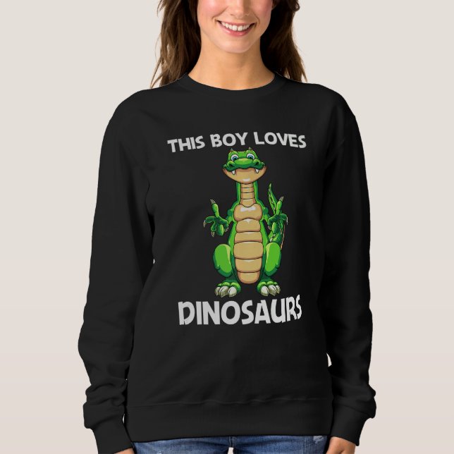 Cute Dinosaur For Boys Kids Dino Extinct Dinosaur  Sweatshirt (Front)