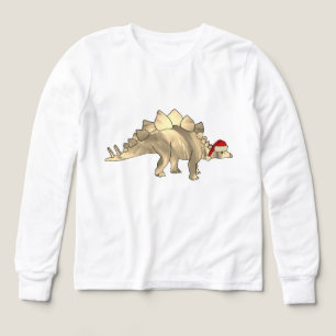 Cute Dinosaur Santa Christmas Tri-Blend Shirts