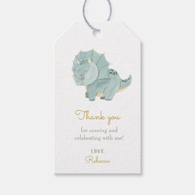 Cute Dinosaur Thank you Gift Tags (Front)