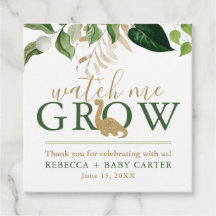 Cute Dinosaur Watch Me Grow Succulent Plant