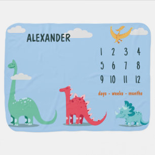 Cute Dinosaurs Baby Milestones Blanket