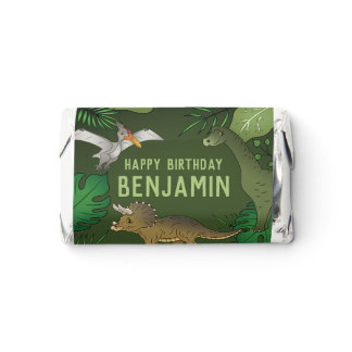 Cute Dinosaurs On Green Custom Name Happy Birthday Hershey's Miniatures