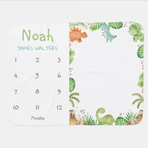 Cute Dinosaurs T-Rex Bronto Monthly Milestone Baby Blanket