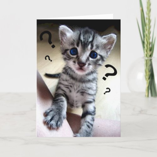 Cute Do You Miss Me Kitty Picture Card