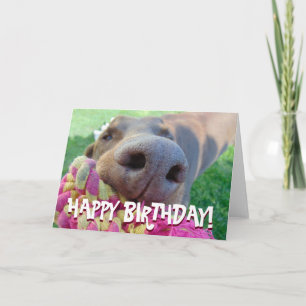 Cute doberman card