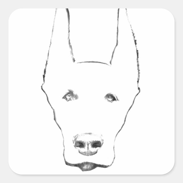 Cute Doberman Pinscher Dog Face Sketch Square Sticker (Front)
