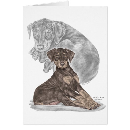 Cute Doberman Pinscher Puppy (Front)