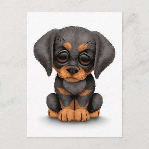 Cute Doberman Pinscher Puppy Dog on White Postcard