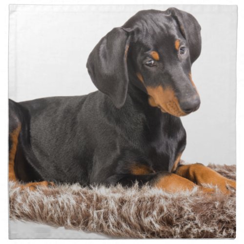 cute doberman pinscher puppy napkin