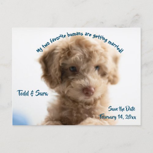 Cute Dog and its Humans Save the Date Announcement Postcard
