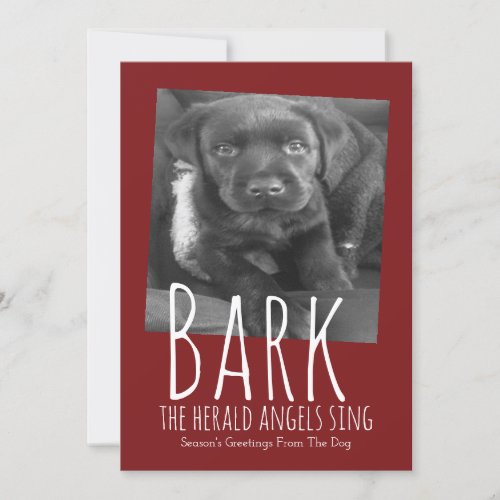 Cute Dog Bark The Herald Angels Sing Christmas Holiday Card