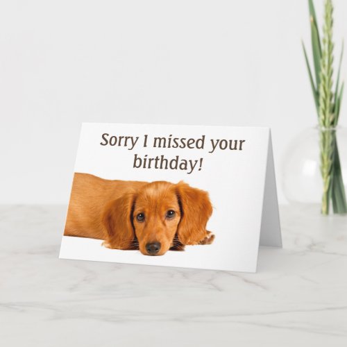 Cute Dog Belated Birthday Card