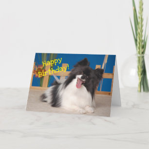 Cute Dog Birthday Card, Papillon Letterpress Thank You Card