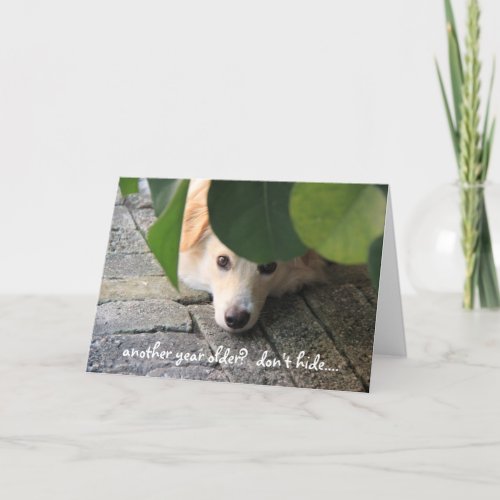 Cute Dog Birthday Over the hill look marvelous Card