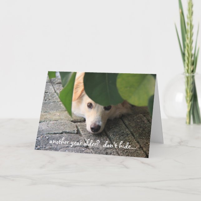 Cute Dog Birthday, Over the hill, look marvelous! Card (Front)