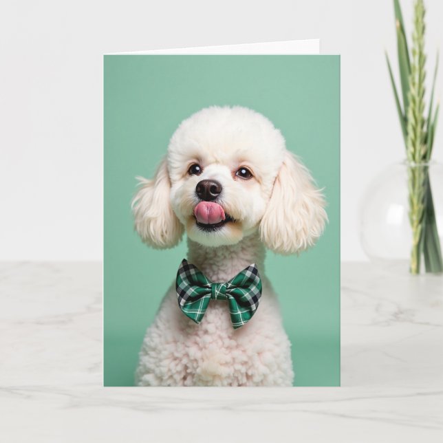 Cute Dog Bow Tie Photo Card (Front)