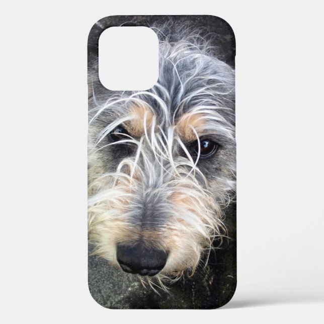 Cute dog Case-Mate iPhone case (Back)