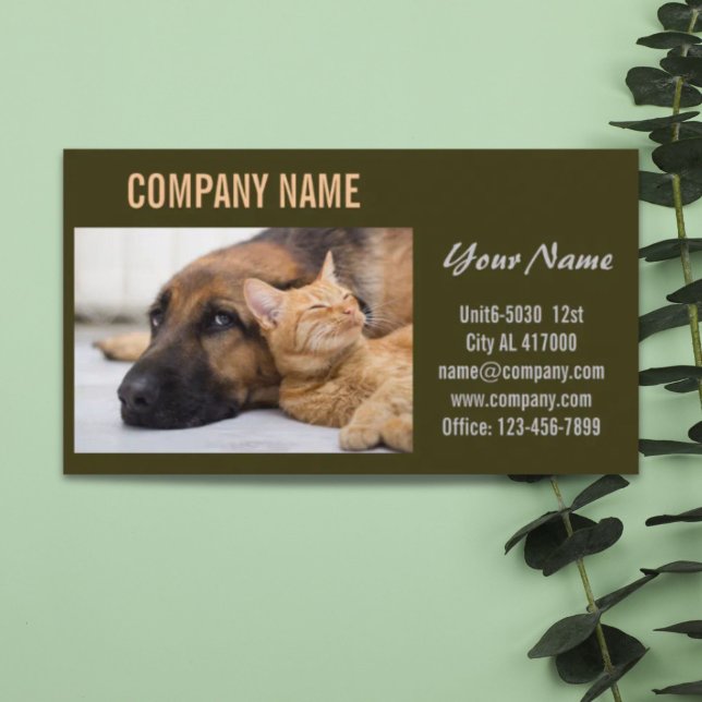 Cute dog cat pet sitter animal sitter pet groomer business card (Cute dog cat pet sitter animal sitter pet groomer business card)