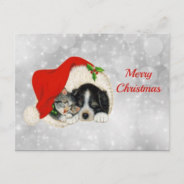 Cute Dog Cat Santa Cap Christmas Postcard (Front)