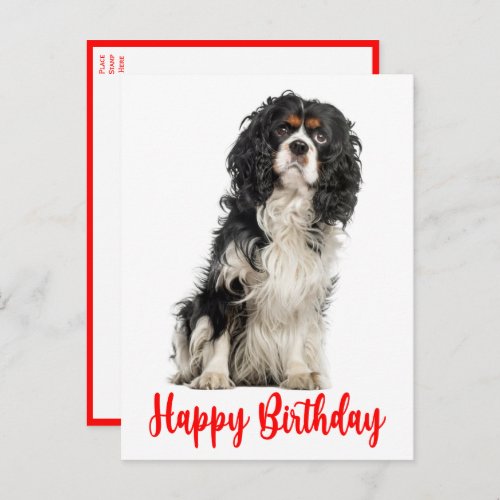 Cute Dog Cavalier King Charles Spaniel Birthday Po Postcard