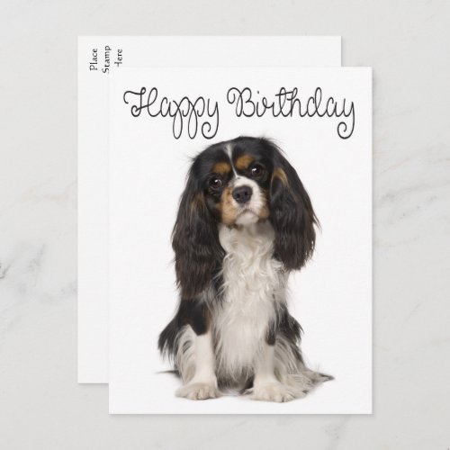 Cute Dog Cavalier King Charles Spaniel Birthday Postcard