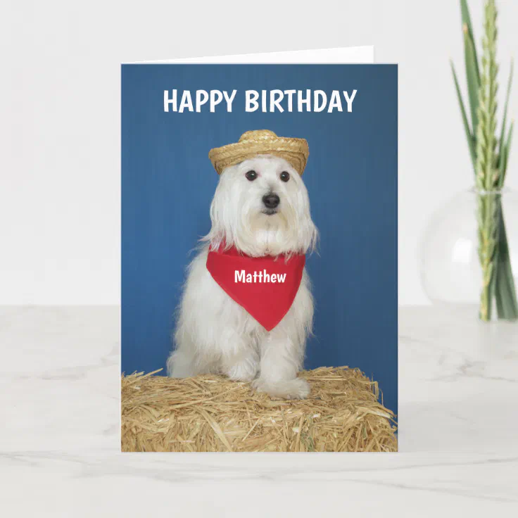 Cute Dog Child Birthday Card with Name and Age | Zazzle